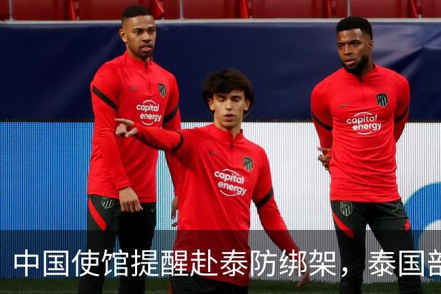 中国使馆提醒赴泰防绑架，泰国部长质疑，怎么其他国家游客没遇到
