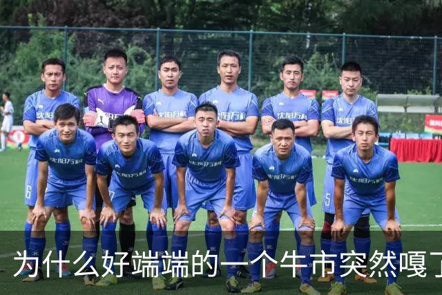为什么好端端的一个牛市突然嘎了？走成这样子？