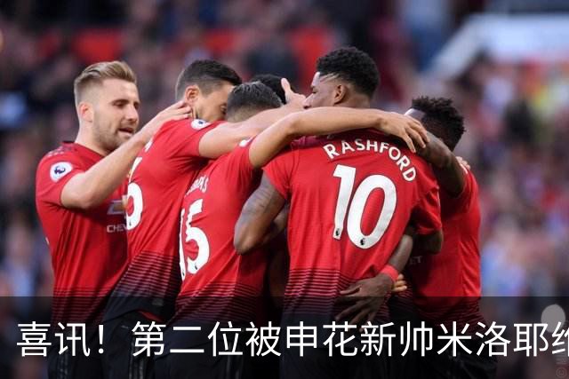 喜讯！第二位被申花新帅米洛耶维奇的本土强援浮出水面，值得期待
