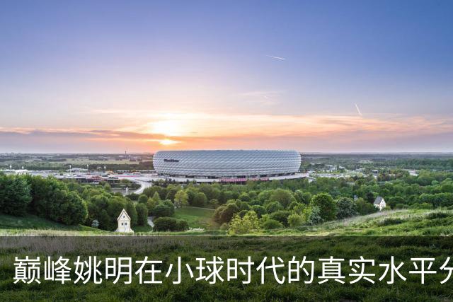 巅峰姚明在小球时代的真实水平分析