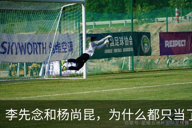 李先念和杨尚昆，为什么都只当了一届国家主席？