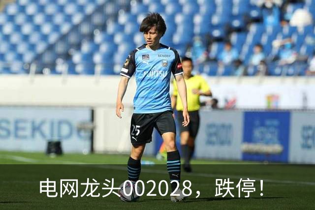 电网龙头002028，跌停！