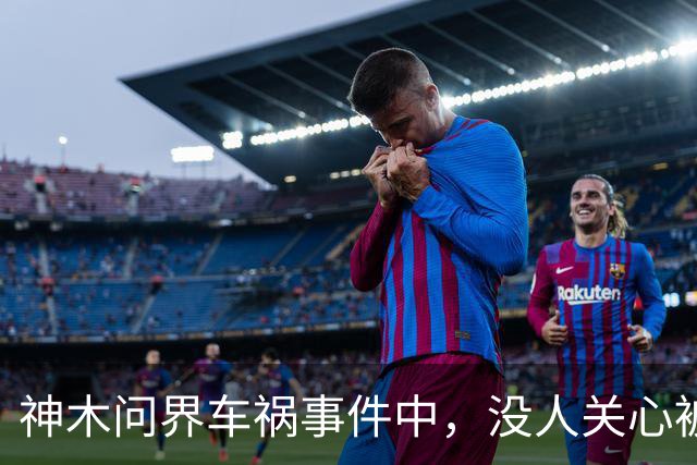 神木问界车祸事件中，没人关心被烧死的那个人
