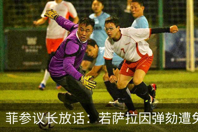 菲参议长放话：若萨拉因弹劾遭免职，将因利益冲突拒绝接任！