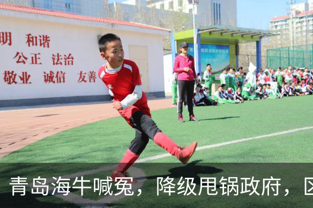 青岛海牛喊冤，降级甩锅政府，区政府承诺4000万未到账，“婆媳关系”掰扯不清