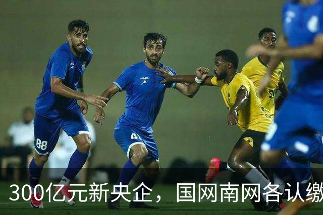 300亿元新央企，国网/南网各认缴37.5亿元